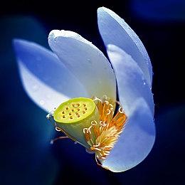 感谢《虚实万象》 Capcom未来的游戏都有更好的头发